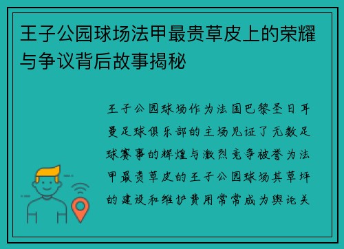 王子公园球场法甲最贵草皮上的荣耀与争议背后故事揭秘